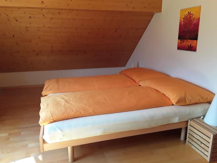 Zwinglis Ferienwohnung Rosi Nesslau ภายนอก รูปภาพ